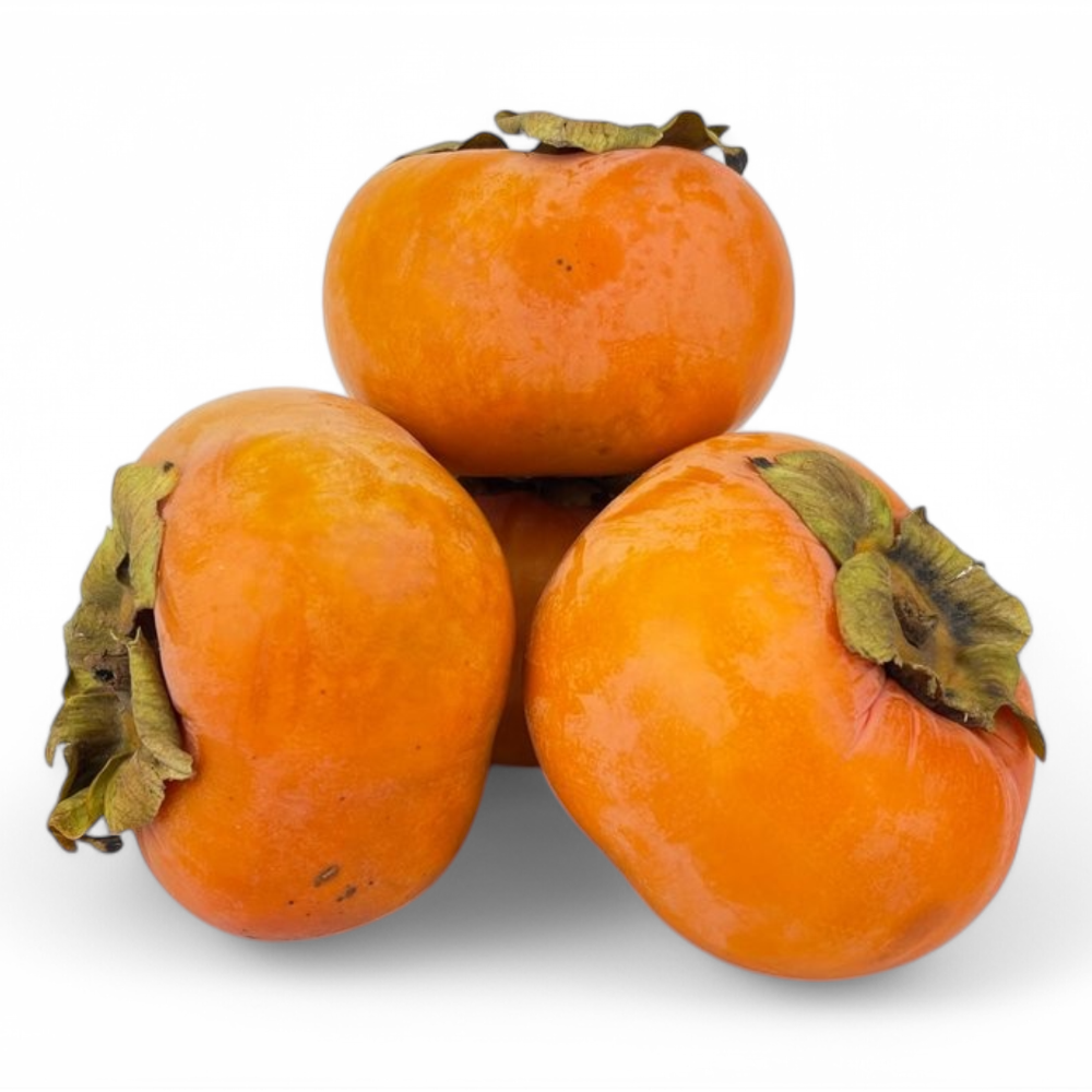 Persimmon